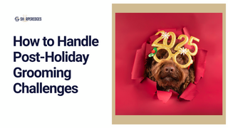 How to Handle Post-Holiday Grooming Challenges