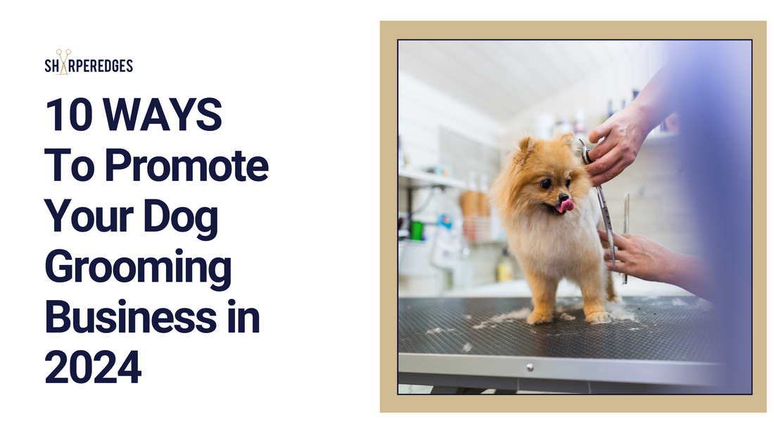 10 Ways to Promote Your Dog Grooming Business in 2024