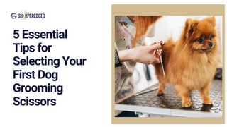 5 Essential Tips for Selecting Your First Dog Grooming Scissors - Sharperedges Scissors