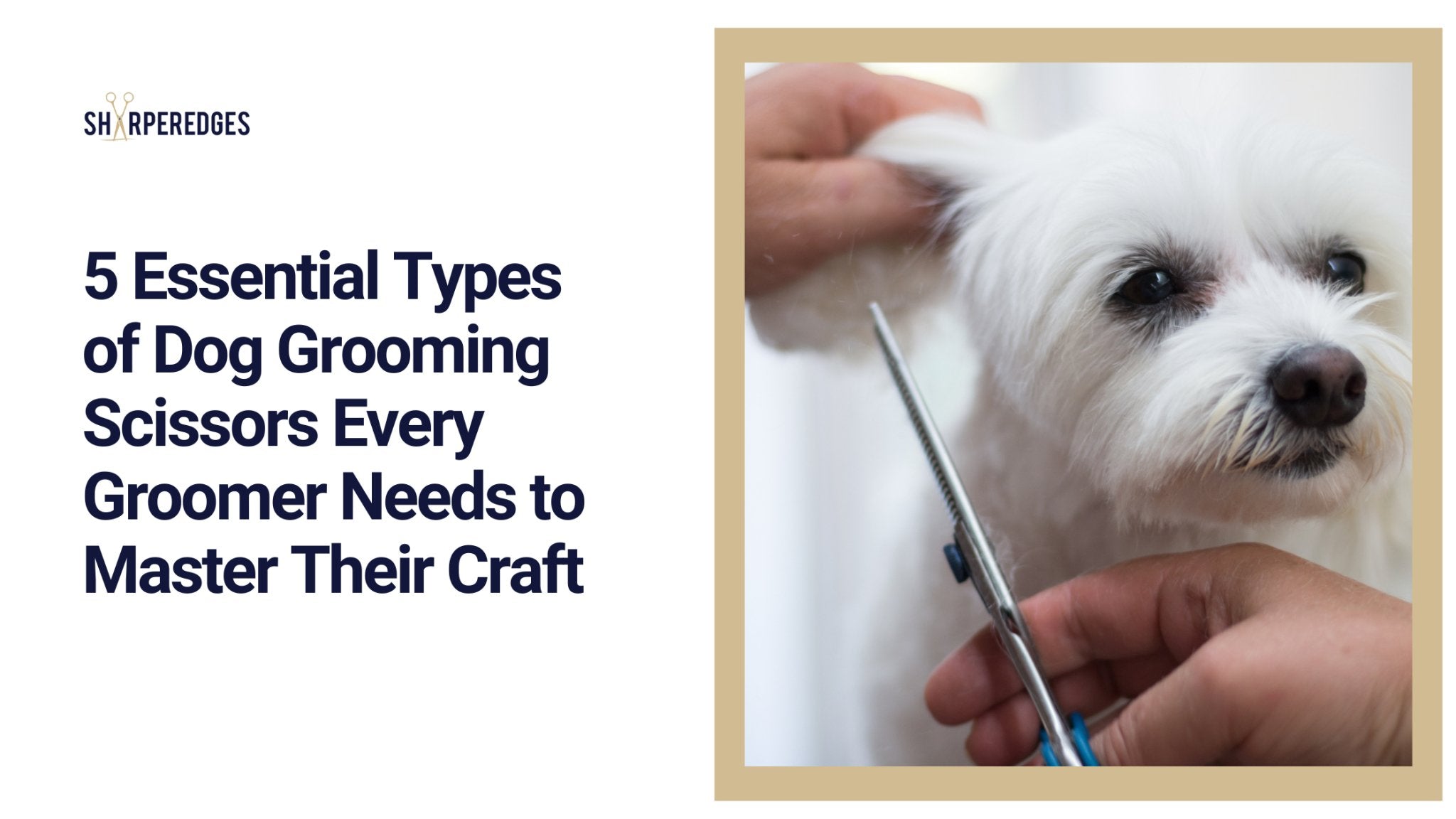 5 Essential Types of Dog Grooming Scissors Every Groomer Needs to Mast ...