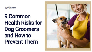 9 Common Health Risks for Dog Groomers and How to Prevent Them - Sharperedges Scissors