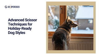 Advanced Scissor Techniques for Holiday-Ready Dog Style