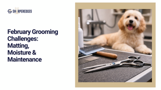 February Grooming Challenges: Matting, Moisture & Maintenance