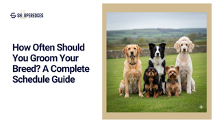 How Often Should You Groom Your Breed? A Complete Schedule Guide