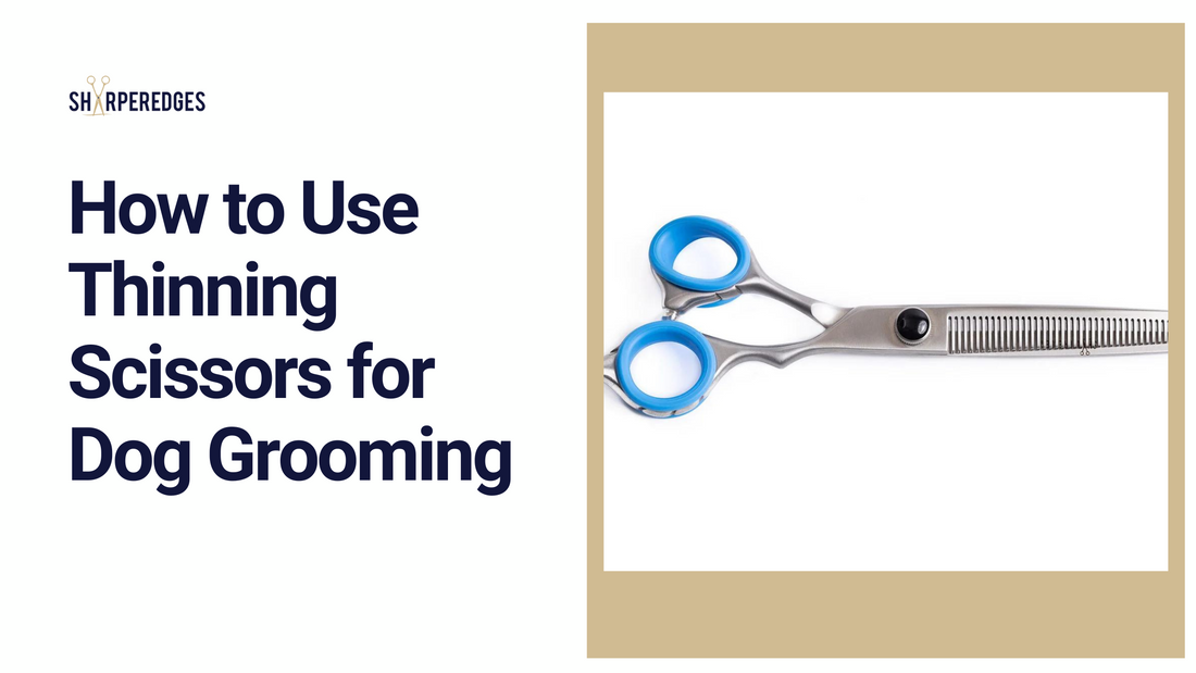 How to Use Thinning Scissors for Dog Grooming