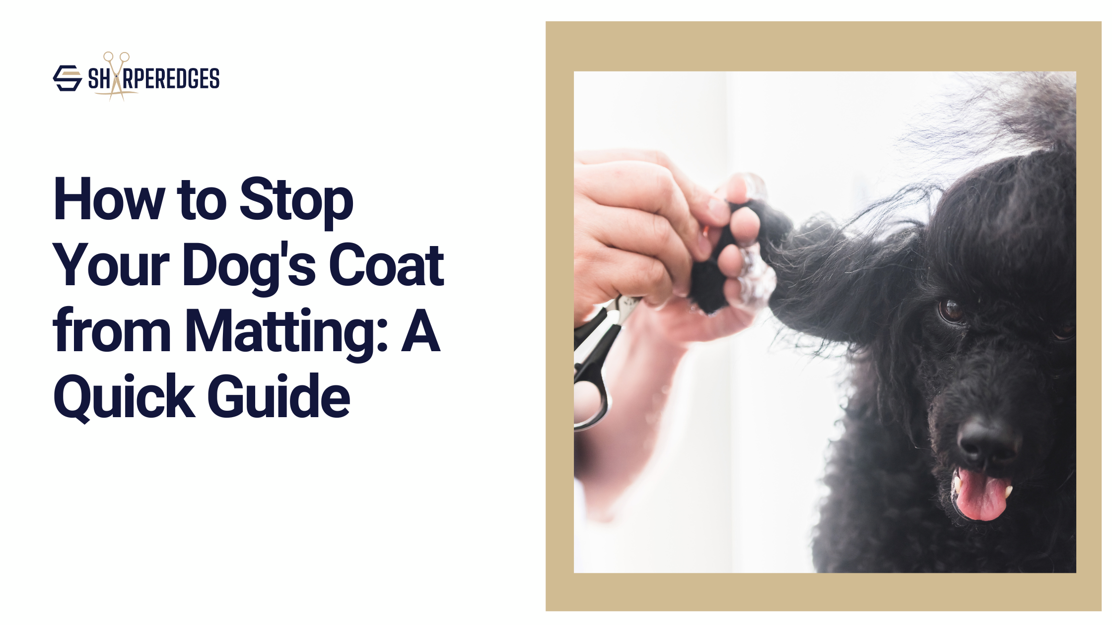 How to Stop Your Dog's Coat from Matting: A Quick Guide – Sharperedges ...