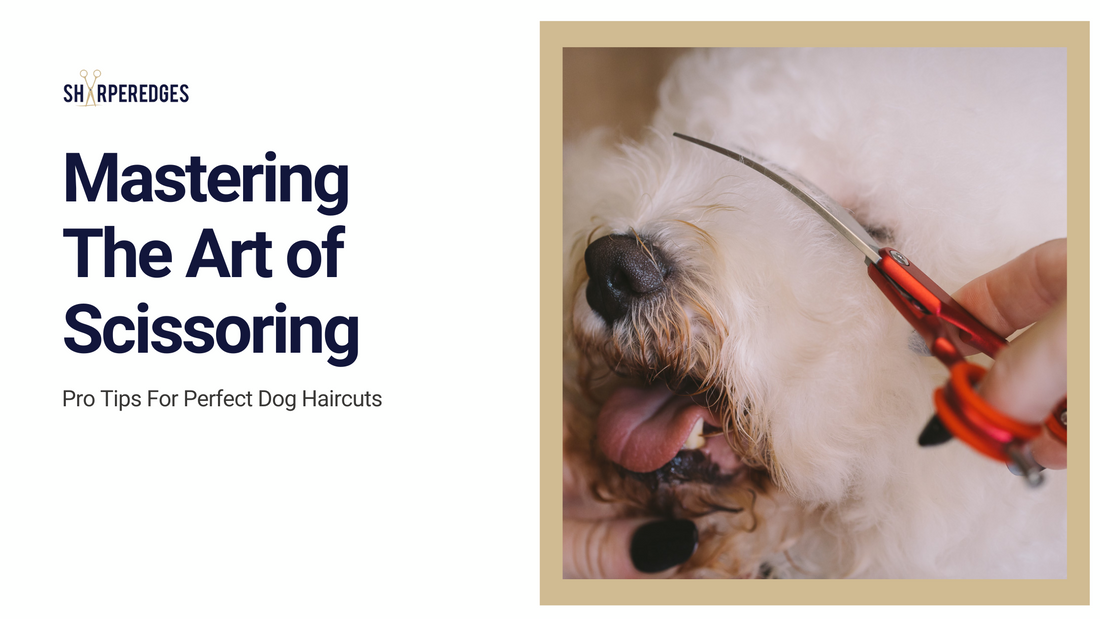 Title: Mastering the Art of Scissoring: Pro Tips for Perfect Dog Haircuts