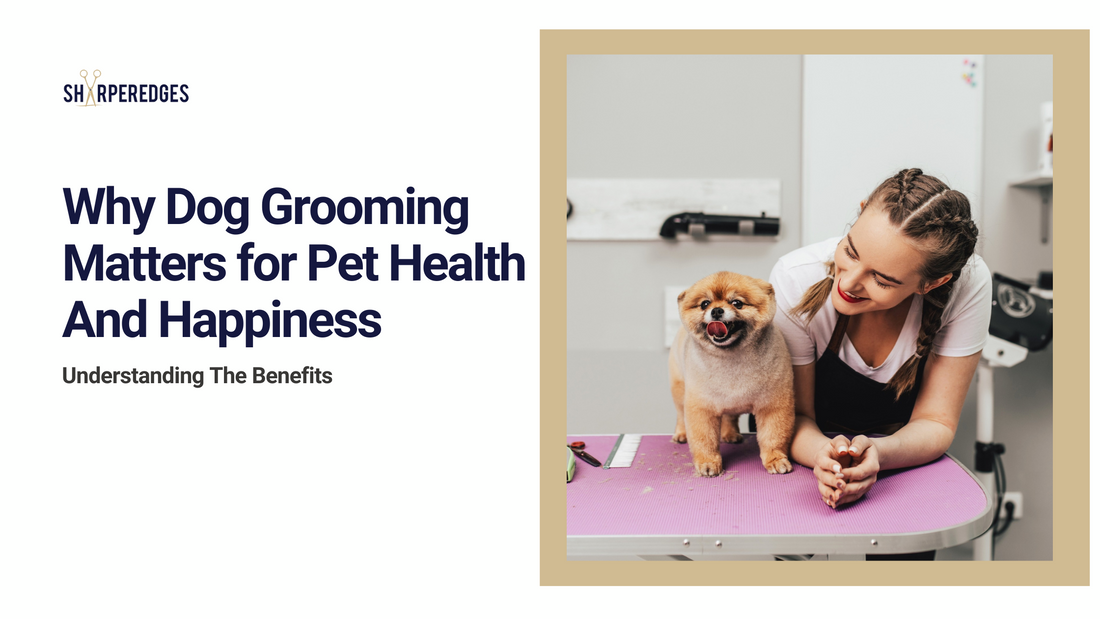 The Importance of Dog Grooming for Pet Health and Happiness