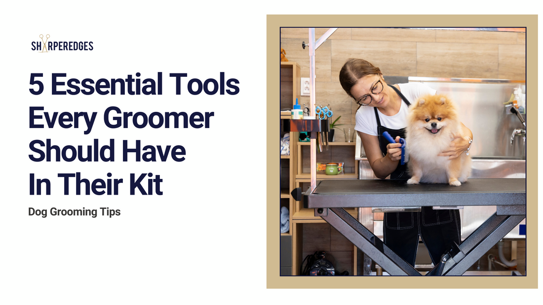5 Essential Tools Every Dog Groomer Should Have in Their Kit
