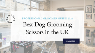 Best Dog Grooming Scissors in the UK (Professional Groomer Guide 2026)