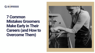 7 Common Mistakes Groomers Make Early in Their Careers (and How to Overcome Them)