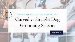 Curved vs Straight Dog Grooming Scissors – UK Guide
