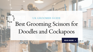 Best Grooming Scissors for Doodles and Cockapoos (UK Groomer Guide)