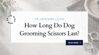 How Long Do Dog Grooming Scissors Last? (UK Groomer Guide)