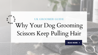 Why Your Dog Grooming Scissors Keep Pulling Hair