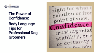 The Power of Confidence: Body Language Tips for Professional Dog Groomers