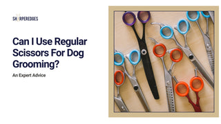 Can I Use Regular Scissors for Dog Grooming? Expert Advice - Sharperedges Scissors