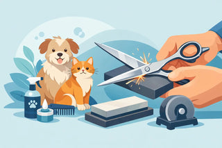 How to Sharpen Pet Grooming Scissors