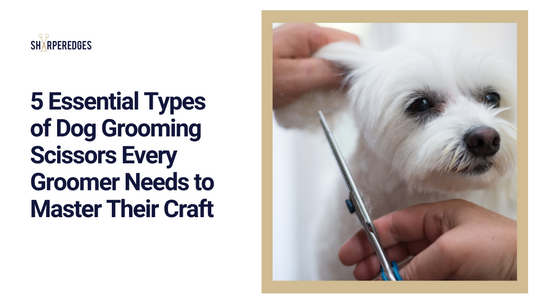 5 Essential Types of Dog Grooming Scissors Every Groomer Needs to Master Their Craft