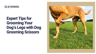Expert Tips for Grooming Your Dog’s Legs with Dog Grooming Scissors