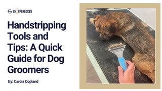 Handstripping Tools and Tips: A Quick Guide for Dog Groomers - Sharperedges Scissors