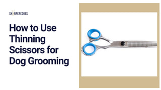 How to Use Thinning Scissors for Dog Grooming - Sharperedges Scissors