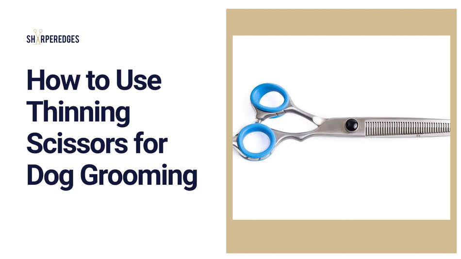 How to Use Thinning Scissors for Dog Grooming – Sharperedges Scissors