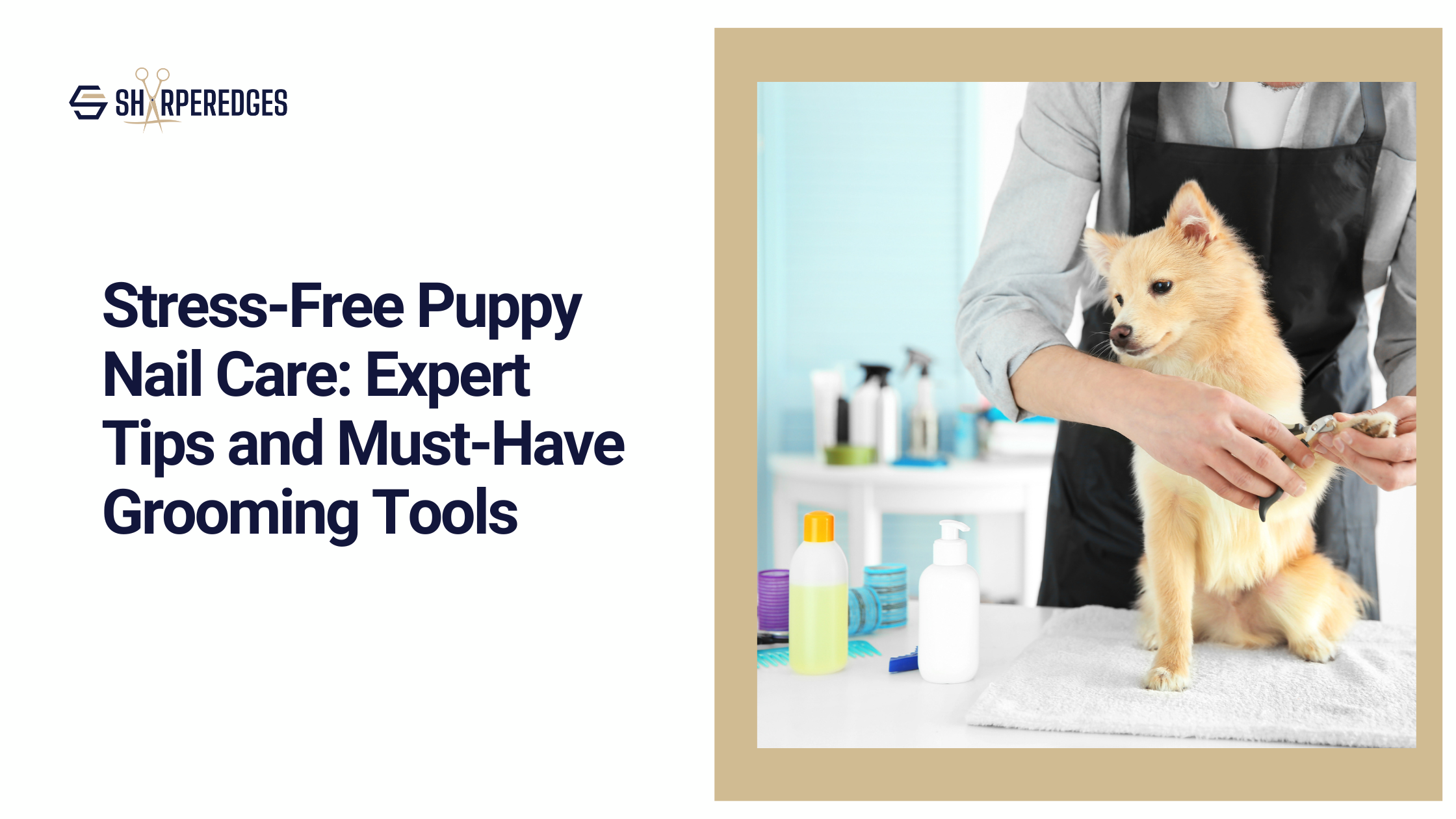 Photo inspiration: Picture Idea: Stress Free Puppy Nail Care Expert Tips And Must Have