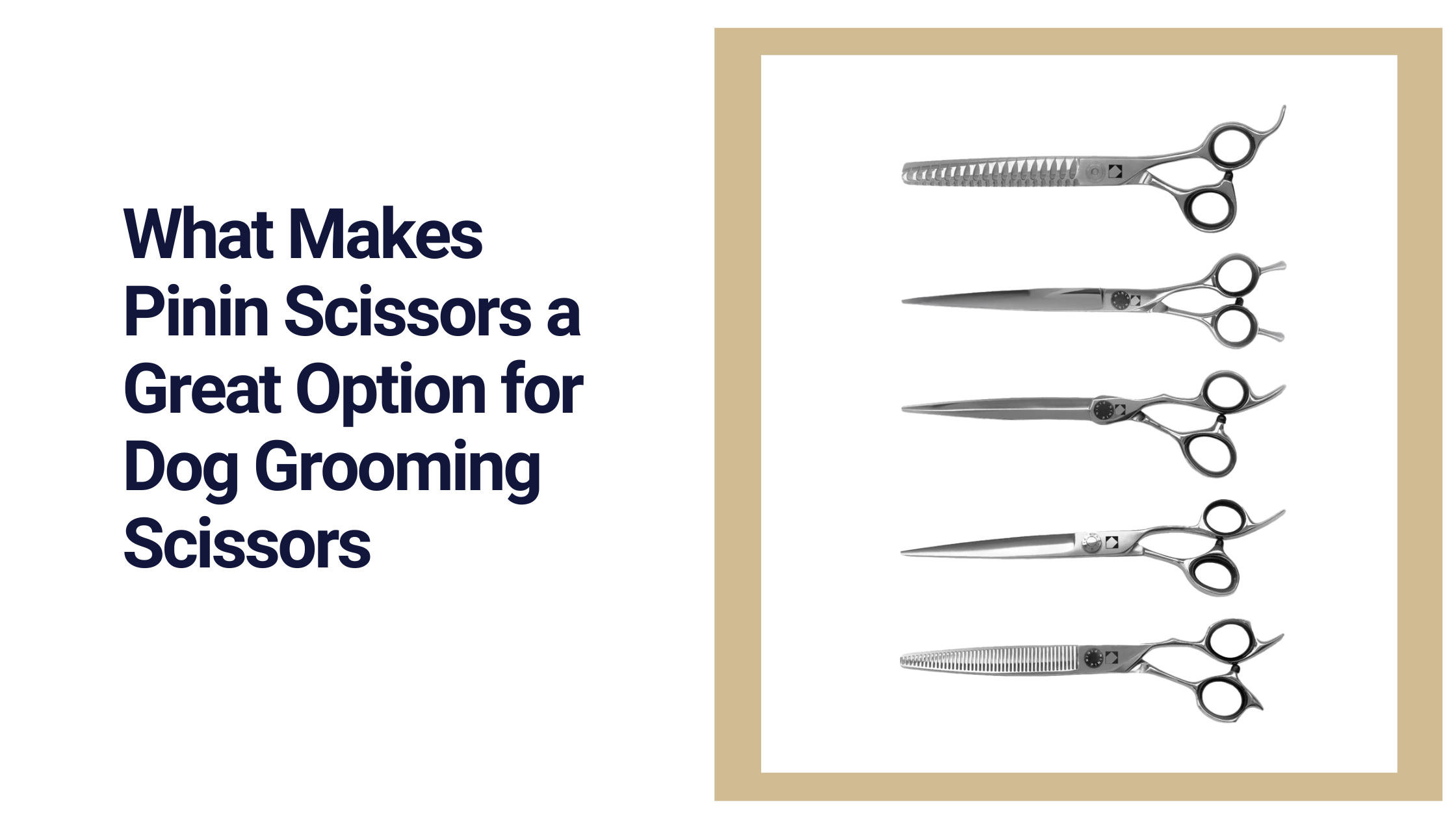 What Makes Pinin Scissors a Great Option for Dog Grooming Scissors ...