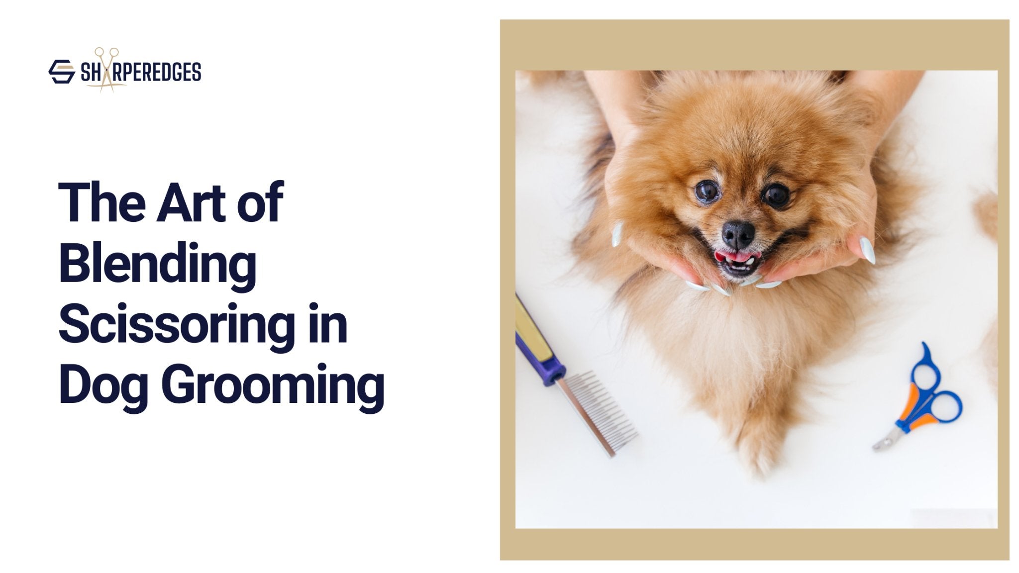 The Art of Blending Scissoring in Dog Grooming – Sharperedges Scissors