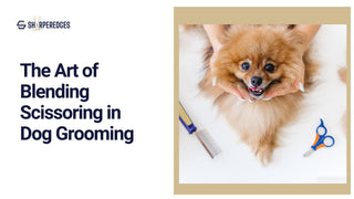 The Art of Blending Scissoring in Dog Grooming - Sharperedges Scissors