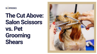 The Cut Above: Salon Scissors vs. Pet Grooming Shears - Sharperedges Scissors