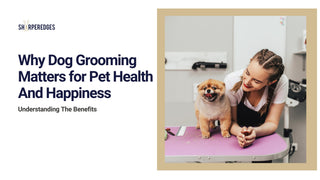 The Importance of Dog Grooming for Pet Health and Happiness - Sharperedges Scissors