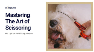 Title: Mastering the Art of Scissoring: Pro Tips for Perfect Dog Haircuts - Sharperedges Scissors