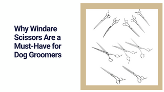 Why Windare Scissors Are a Must-Have for Dog Groomers