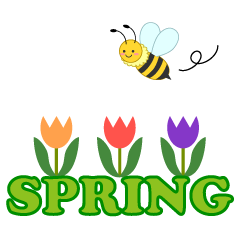 Spring Grooming Essential Kit